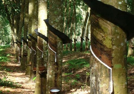 輪胎廠家、經(jīng)銷商的壓力傳導(dǎo)