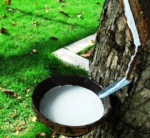 國(guó)內(nèi)橡膠制品配套生產(chǎn)的進(jìn)程(一) 國(guó)內(nèi)橡膠制品配套生產(chǎn)的進(jìn)程(一)