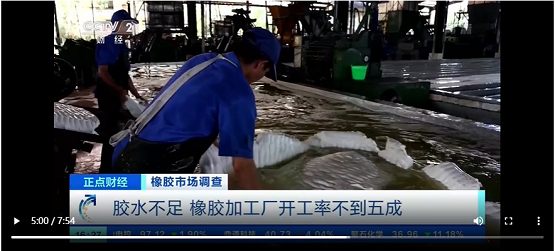 膠水不足，橡膠加工廠開工率不到五成