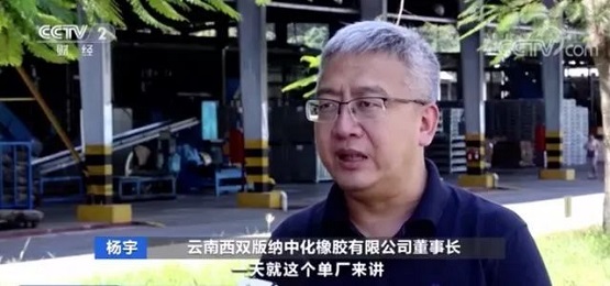 云南西雙版納中化橡膠有限公司董事長 楊宇