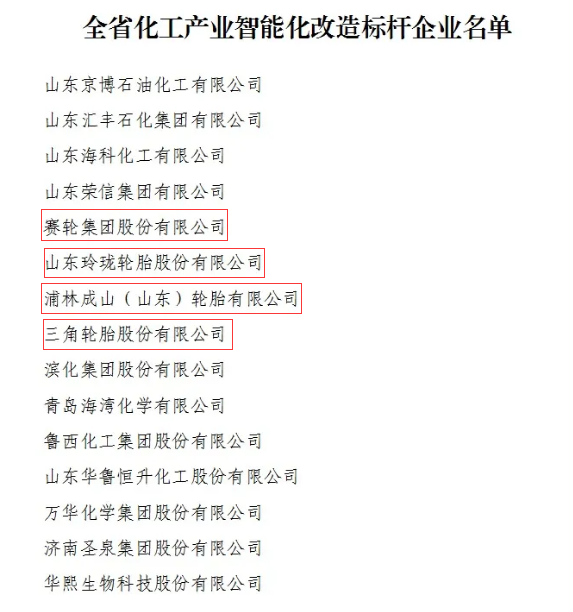 四大輪胎廠商，成為標桿