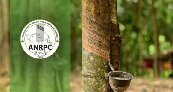 ANRPC預(yù)計(jì)2021年全球天橡膠產(chǎn)量1386 萬噸 ANRPC預(yù)計(jì)2021年全球天橡膠產(chǎn)量1386 萬噸