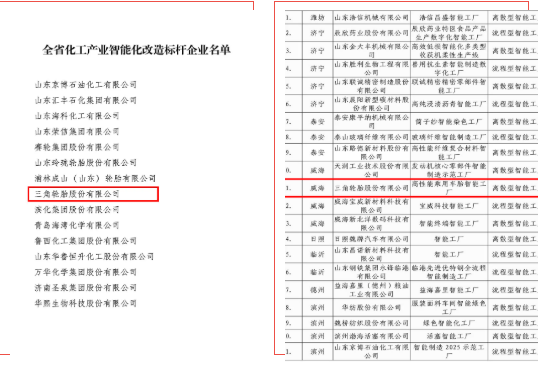 三角輪胎獲評(píng)山東省兩個(gè)“智能化”獎(jiǎng)項(xiàng)
