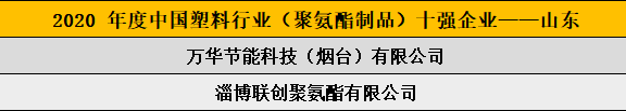2020 年度中國(guó)塑料行業(yè)（聚氨酯制品）十強(qiáng)企業(yè)——山東