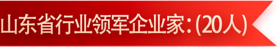 我省橡膠行業(yè)入選行業(yè)領軍企業(yè)家的有