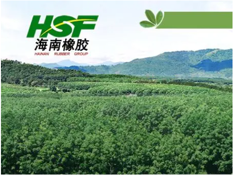 海南橡膠，扣非凈利大跳水