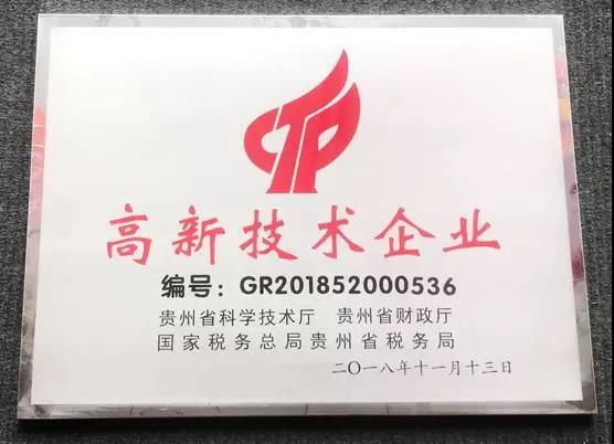 貴州輪胎順利通過高新技術企業(yè)復審備案