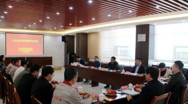 躍龍橡膠高性能子午線輪胎項目通過省專家組評價驗收 躍龍橡膠高性能子午線輪胎項目通過省專家組評價驗收