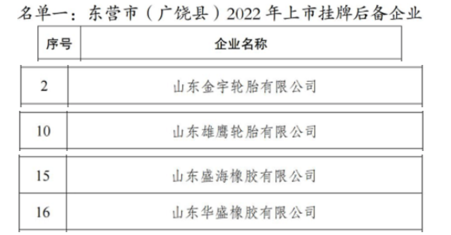 東營4大輪胎，排隊上市！