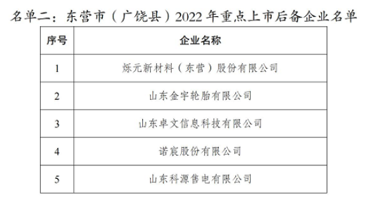 2022年重點上市后備企業(yè)名單，其中包括金宇輪胎。
