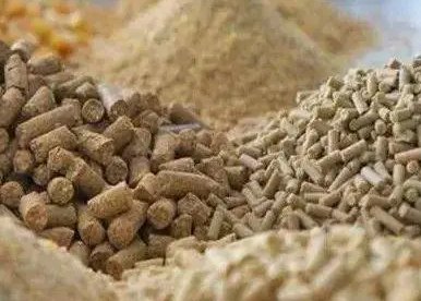 俄烏兩國對飼料價格的影響有多大？