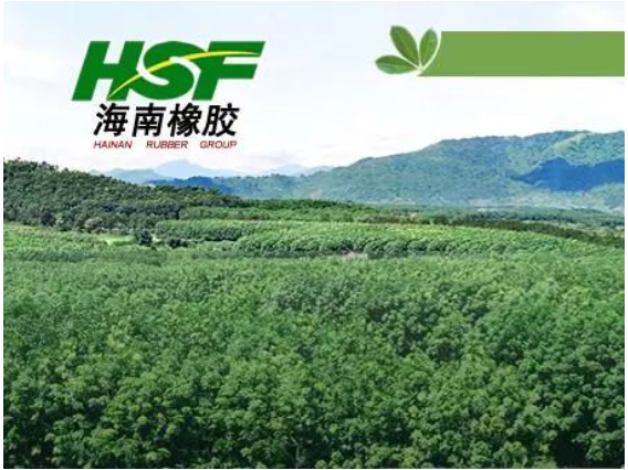 公司在不具有商業(yè)實質(zhì)的情況下進行會計處理，導致多期年度報告財務信息披露不真實，違反了多項規(guī)定。