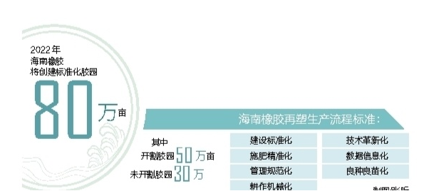 海南橡膠多舉措推進(jìn)標(biāo)準(zhǔn)化膠園建設(shè) 推動天然橡膠產(chǎn)業(yè)提質(zhì)增效
