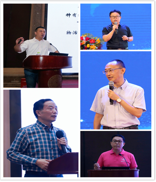 精彩紛呈的專家報(bào)告 精彩紛呈的專家報(bào)告
