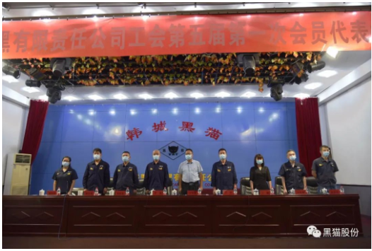 韓城黑貓工會(huì)圓滿完成換屆選舉工作