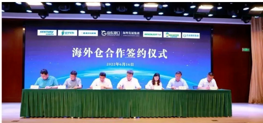 橡膠輪胎 橡膠輪胎
