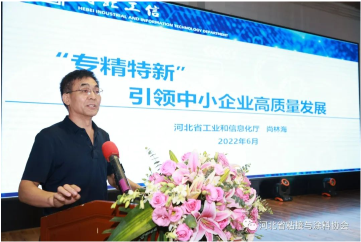 ，河北省工業(yè)和信息化廳尚林海處長(zhǎng)就“專精特新”引領(lǐng)中小企業(yè)高質(zhì)量發(fā)展進(jìn)行專題報(bào)告