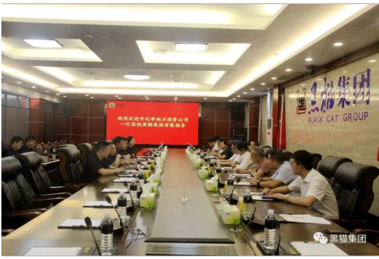 與會人員共同觀看了黑貓集團宣傳片，并就相關問題展開深入交流。