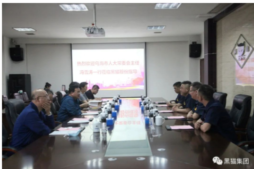 與會人員就烏海黑貓項目進行了深入探討 與會人員就烏海黑貓項目進行了深入探討