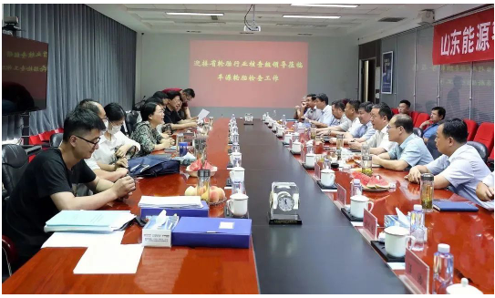省輪胎行業(yè)核查組，檢查指導(dǎo)豐源輪胎