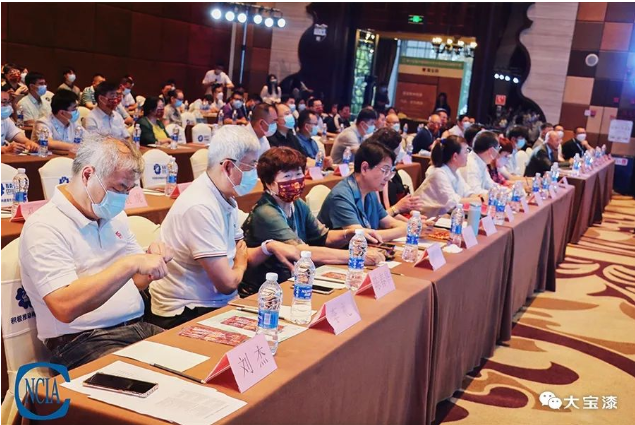 中國國際水性木器涂料研討會會議現場