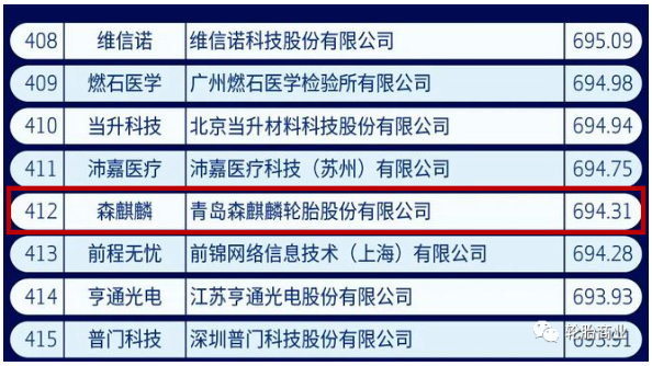 中國(guó)新經(jīng)濟(jì)500強(qiáng)，森麒麟入選