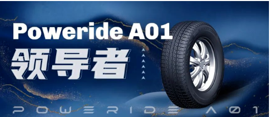 雙錢集團始終致力于成為“中國最專業(yè)的輪胎制造商和服務商