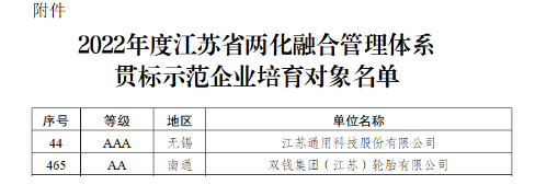 江蘇政府：重點(diǎn)培育這兩家輪胎！