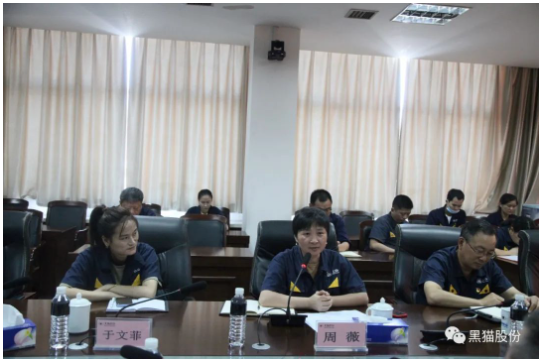 本次兩化融合管理體系貫標(biāo)啟動(dòng)大會(huì)的召開，標(biāo)志著黑貓股份兩化融合工作開啟了新的征程