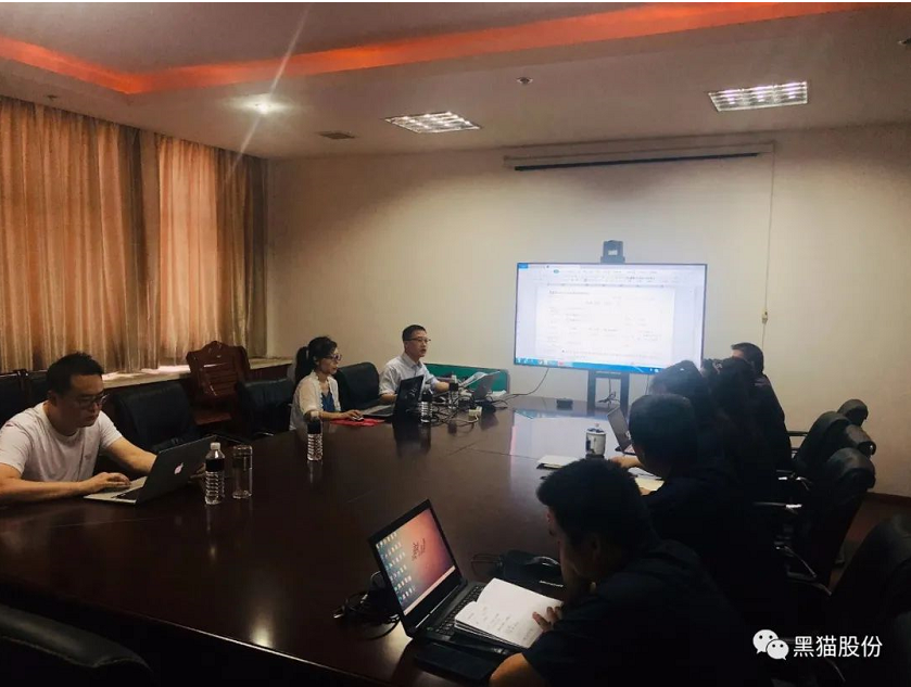 專家一致認(rèn)為黑貓股份在組織內(nèi)部相關(guān)制度規(guī)范、日常生產(chǎn)管理及提升員工凝聚力等方面均符合相關(guān)準(zhǔn)則要求，并推薦認(rèn)證。