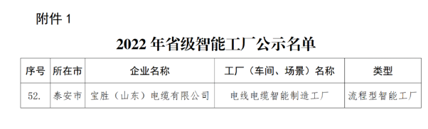 寶勝（山東）電纜入選2022年省級(jí)智能工廠公示名單