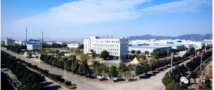 魚童入選國家級專精特新"小巨人"企業(yè)的實力吧