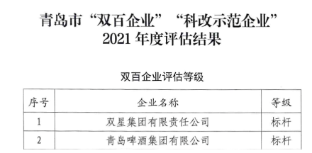10.雙星集團(tuán)，全國(guó)國(guó)企改革“雙百企業(yè)”標(biāo)桿!