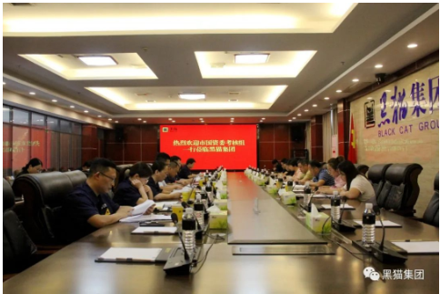 王新龍一行到黑貓集團(tuán)調(diào)研指導(dǎo)