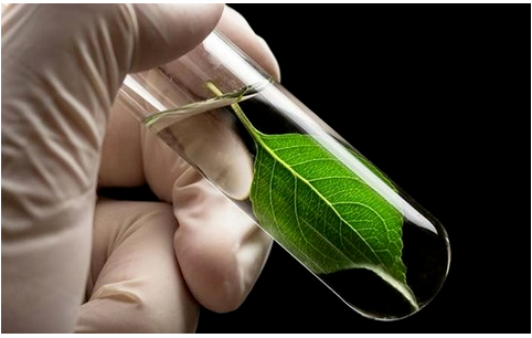 博拉表示，通過(guò)將生物基納米纖維素加入橡膠混煉膠中，提高了輪胎滾動(dòng)阻力和車(chē)輛燃油經(jīng)濟(jì)性。