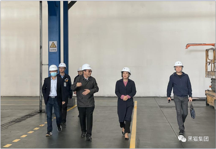 余立新一行到青島黑貓研究院調(diào)研指導工作