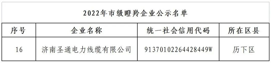 圣通電力線纜 圣通電力線纜