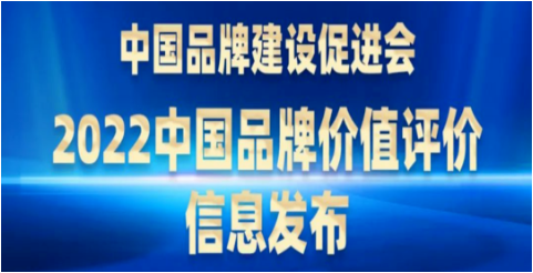 新華社：6大山東輪胎品牌價值榜！