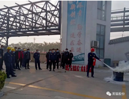 濟寧黑貓 濟寧黑貓