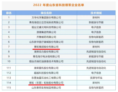 賽輪集團(tuán)入選2022年度山東省科技領(lǐng)軍企業(yè)