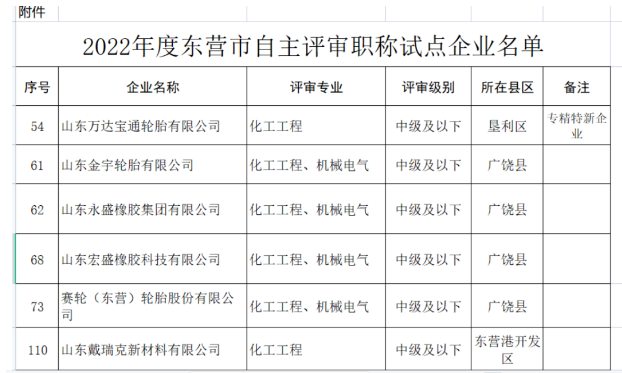 職稱自主評審，5家輪胎企業(yè)試點！