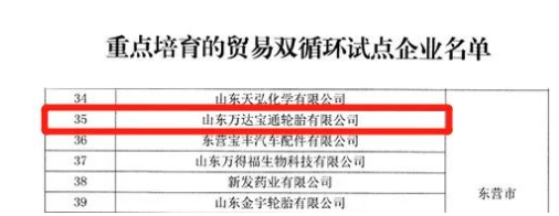 萬達寶通輪胎公司入選山東省重點培育貿(mào)易雙循環(huán)試點企業(yè)