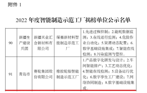 賽輪集團(tuán)，上榜國家級名單