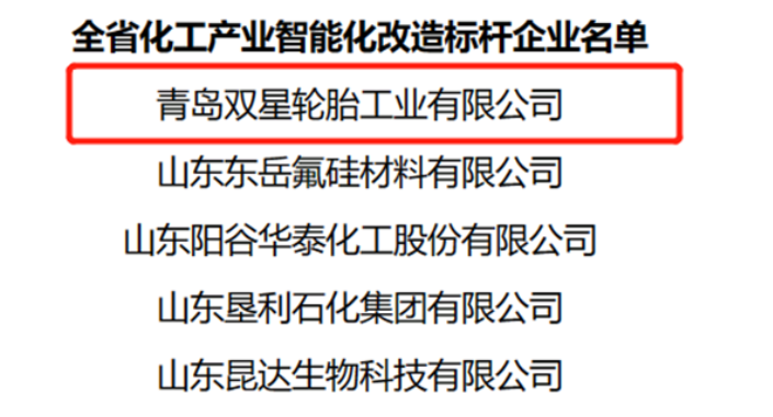 數(shù)智化創(chuàng)新發(fā)展，雙星輪胎獲評(píng)山東省化工產(chǎn)業(yè)智能化改造“標(biāo)桿企業(yè)”