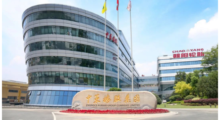 中策橡膠集團(tuán)股份有限公司申報的項目