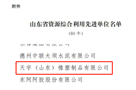 天宇(山東)橡塑制品有限公司位列其中。