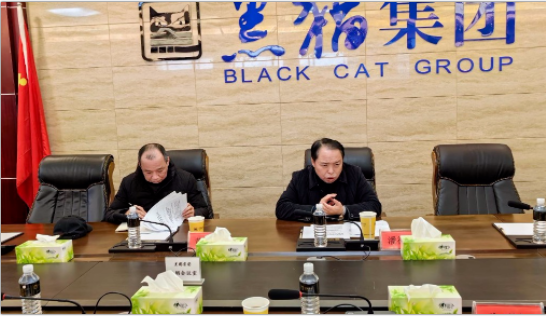 潘福林一行深入黑貓集團調(diào)研