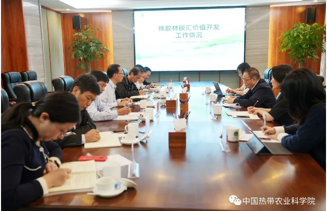 中國(guó)天然橡膠協(xié)會(huì)、國(guó)家天然橡膠產(chǎn)業(yè)技術(shù)體系?？谡窘M織開(kāi)展產(chǎn)業(yè)調(diào)研