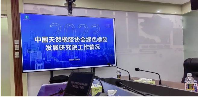 座談會(huì)上，中國(guó)天然橡膠協(xié)會(huì)與各調(diào)研單位圍繞天然橡膠產(chǎn)業(yè)綠色高質(zhì)量發(fā)展，上下游緊密合作關(guān)鍵技術(shù)研發(fā)，橡膠林碳匯價(jià)值開(kāi)發(fā)，全面鄉(xiāng)村振興和建設(shè)農(nóng)業(yè)強(qiáng)國(guó)等方面開(kāi)展交流與對(duì)接。