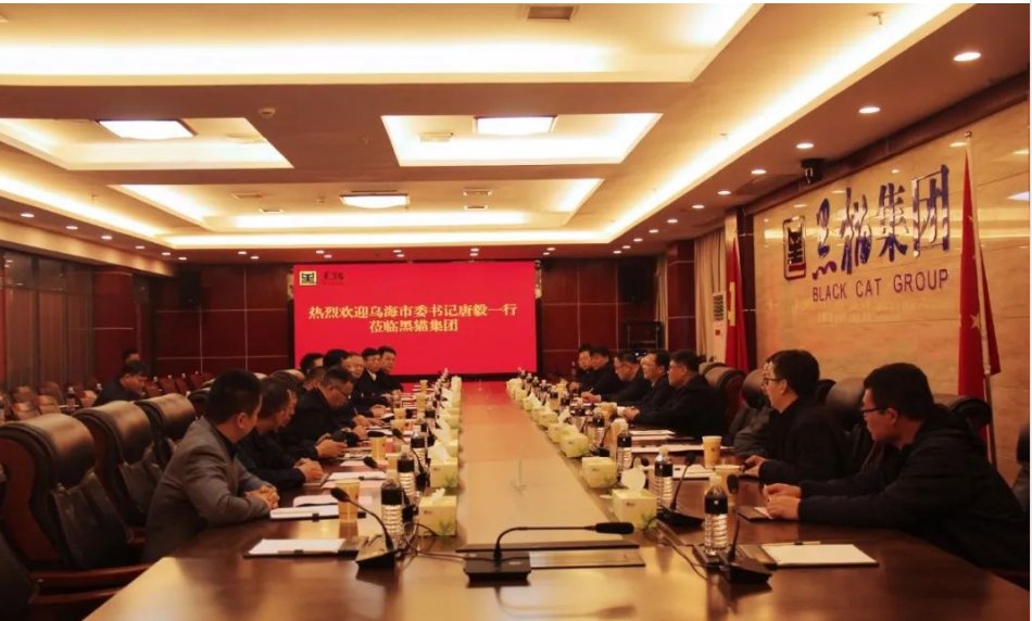 烏海市委書記唐毅率領(lǐng)一行人到黑貓集團(tuán)進(jìn)行考察